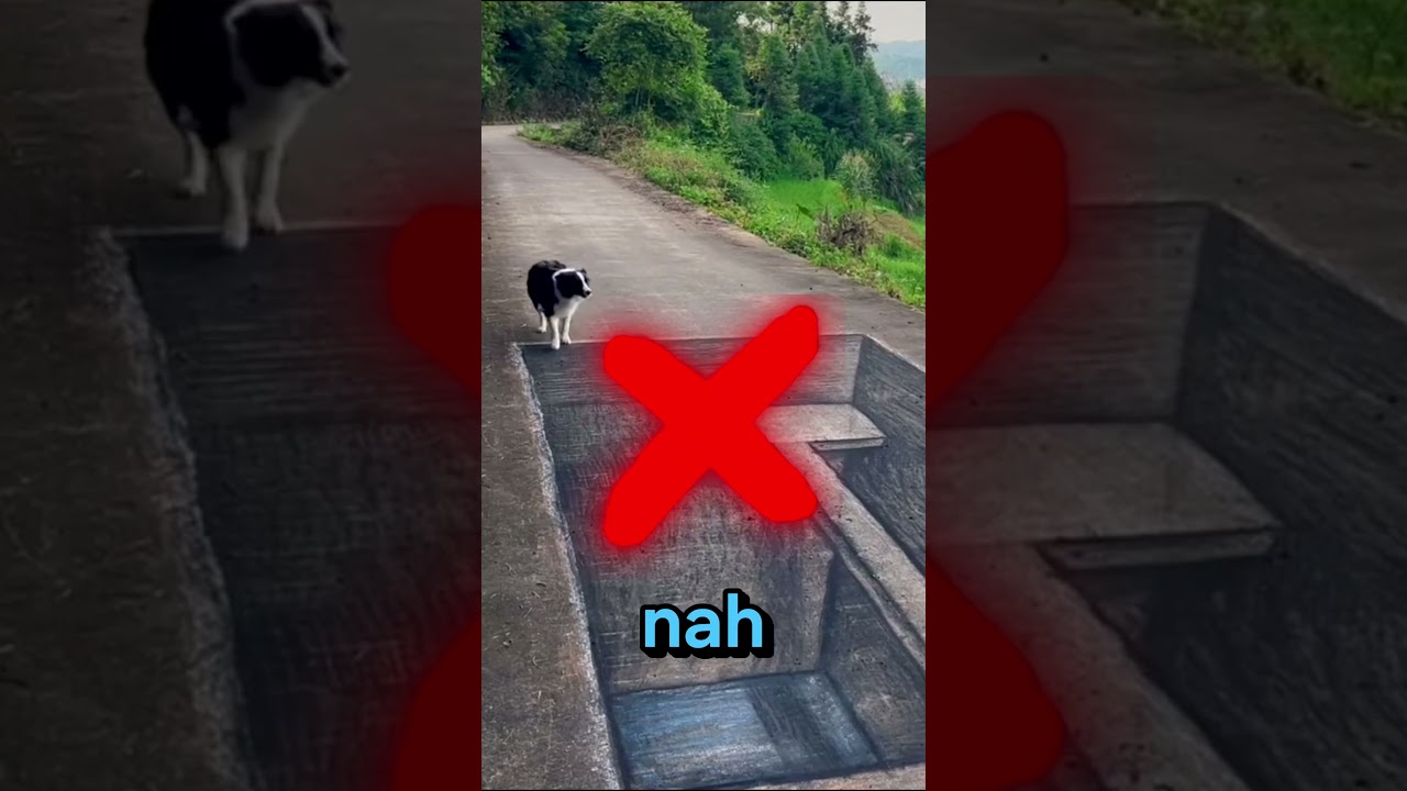 Dog Vs Squid Game IRL – Can He WIN? 🐶💀