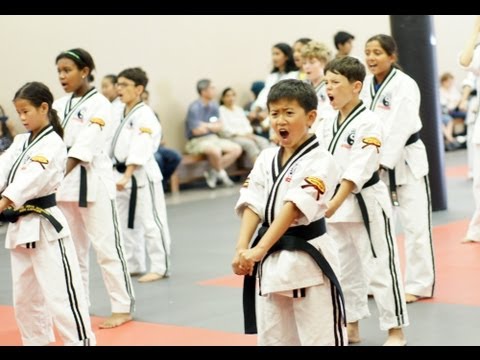 Sunnyvale Martial Arts Academy - Program for Children