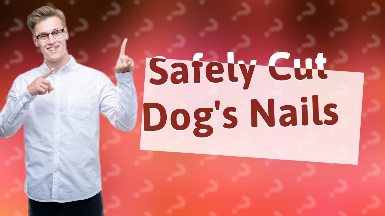 How do you cut a dog's nails without hurting them? YouTube