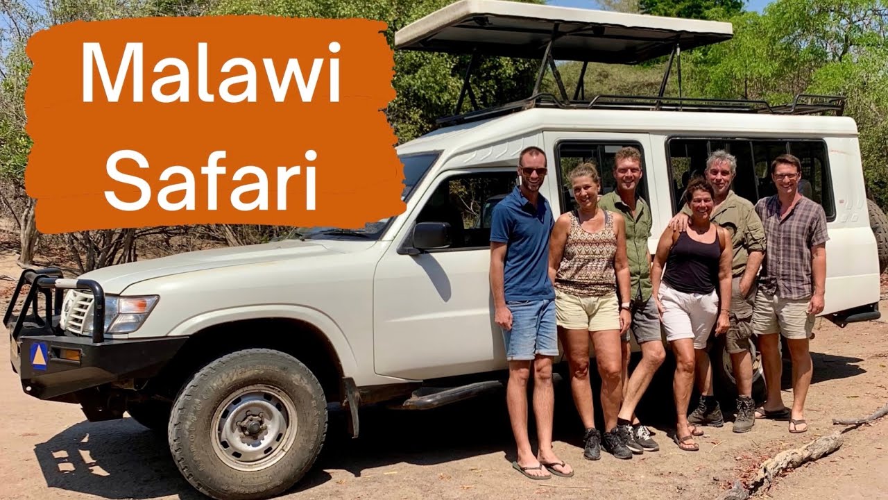 Malawi Safari - cutest lion cubs ever! - Liwonde National Park