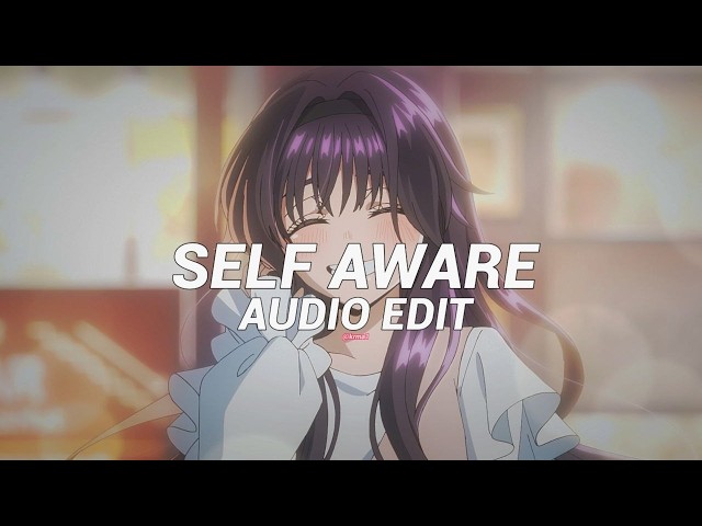 Self aware (slowed to perfection) - temper city [edit audio]