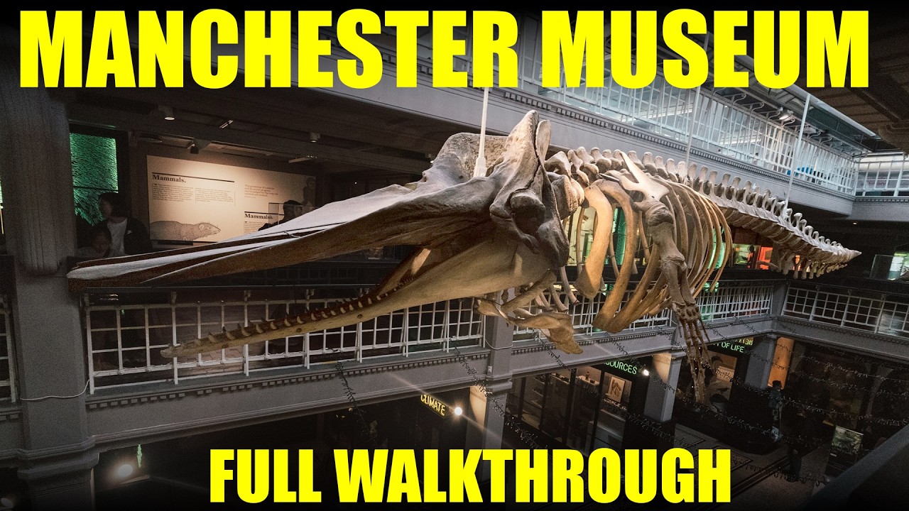 Manchester Museum Walking Tour Full Walkthrough -  Natural History, Culture & Science!