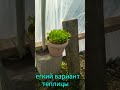 очень буджетный стройка теплицы🌿☘🍀