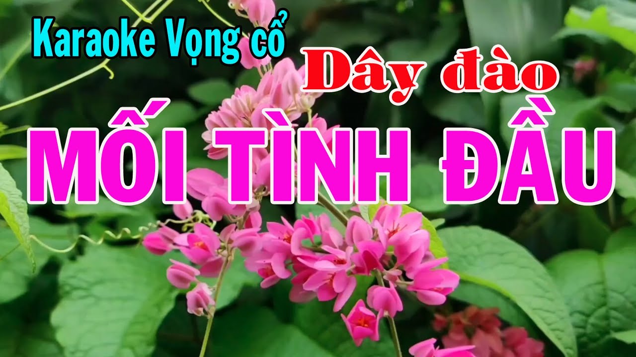 Karaoke vọng cổ MỐI TÌNH ĐẦU -  DÂY ĐÀO