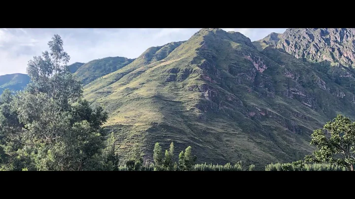 Regenerative Leadership: The New Way of Leading