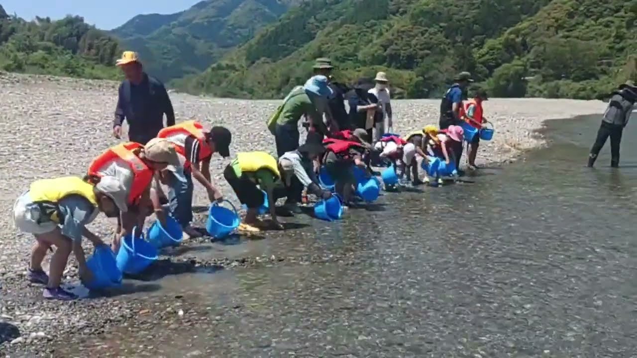 日高村能津小学校　稚鮎放流体験　191kg(約15,000匹）