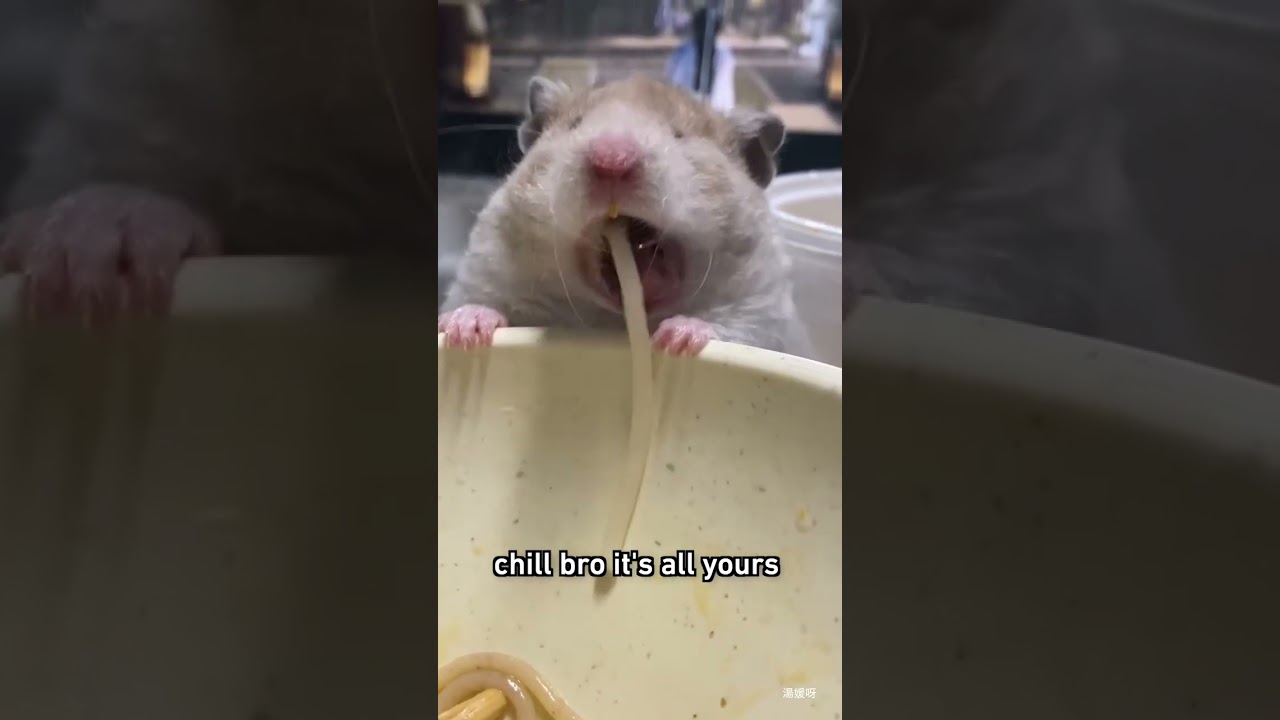 He looks HUNGRY!! 🌱 