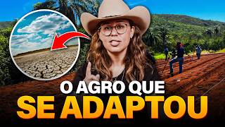Jequitinhonha Onde O Agro Aprendeu A Produzir Com Pouca Chuva