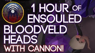 1 Hour of Ensouled Bloodveld Heads with cannon
