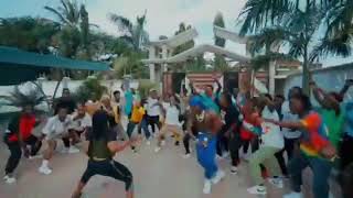 Rayvanny ft Diamond Platnumz Amaboko Official Dance Video