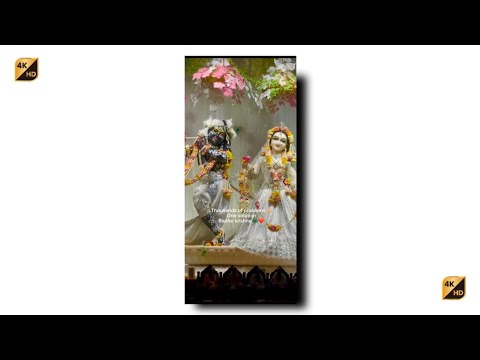 ผลสลากกินแบ่งรัฐบาล วันที่ 1 พย. 2567