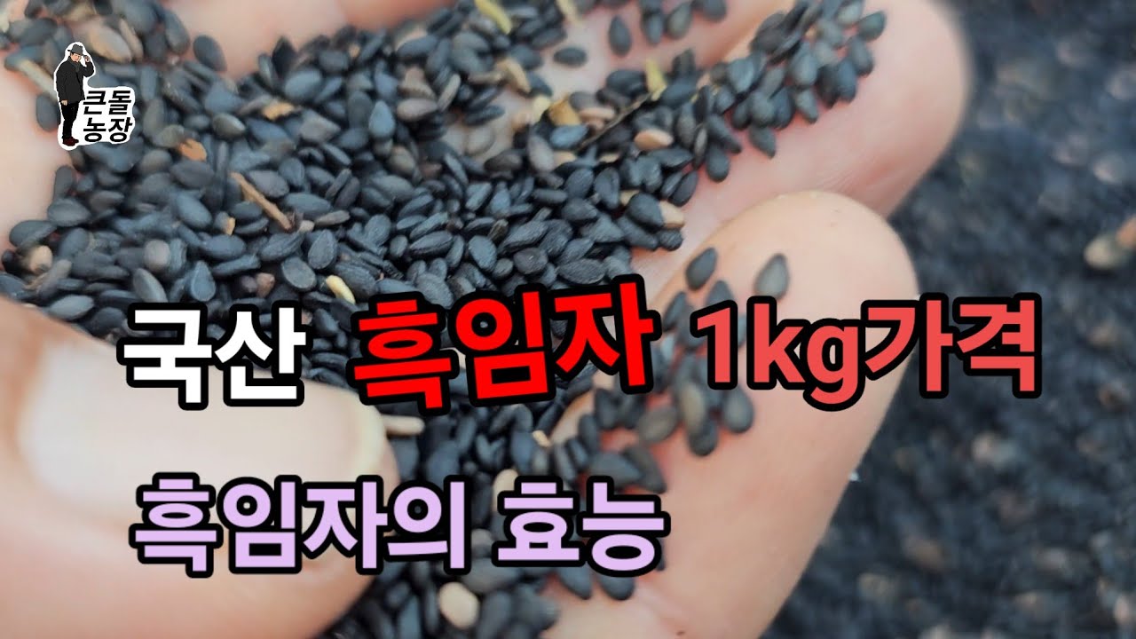 흑임자 1kg의 가격과 효능 - YouTube