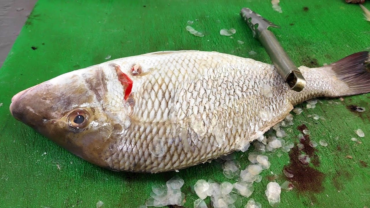 How To cutting Sheri Fish || Fish cutting skills | Bigh Fish