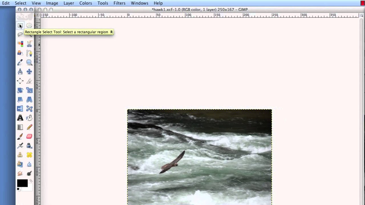 animated gif in gimp 2.8.22