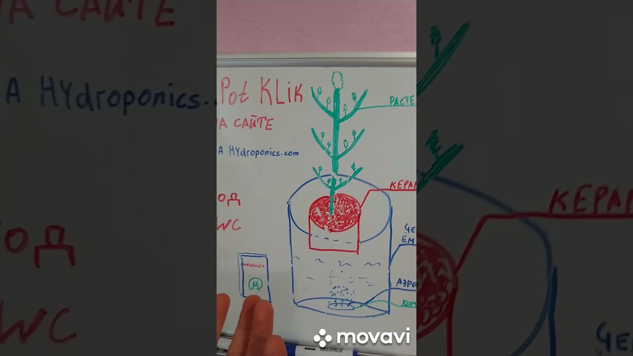Как устроен метод DWC в гидропонной системе AquaPot Klik