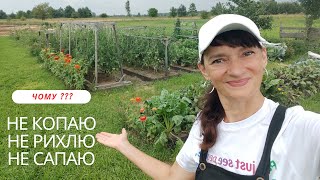 картинка: ЗАБУЛА про  лопату та сапку! Мій 