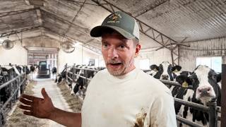 Details Why Vermont’s Dairy Farms Are Dying Guide