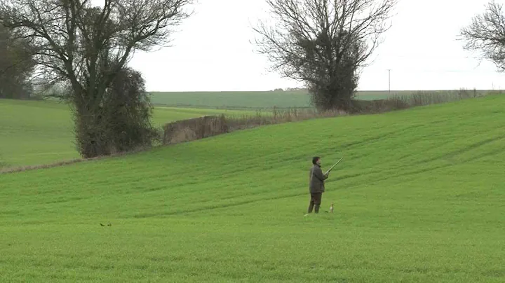 Pheasant shooting at the much-loved Valley Shoot i...