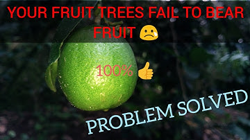 girdling a fruit tree