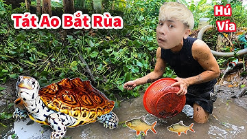 Hậu Cáo - Tát Ao Tìm Đàn Rùa Bị Sổng Và Bất Ngờ Với Cụ Cá Trê Dưới Đáy Ao