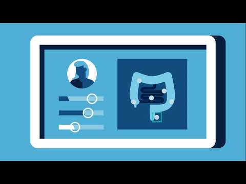 Artificial Intelligence - the Ground Truth