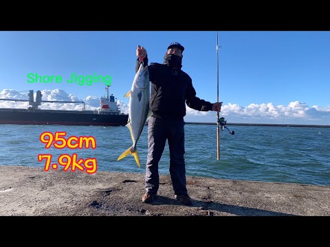 Video Câu Lure-Jig ở cảng biển, hay không bằng hên, cá cam... - youtube