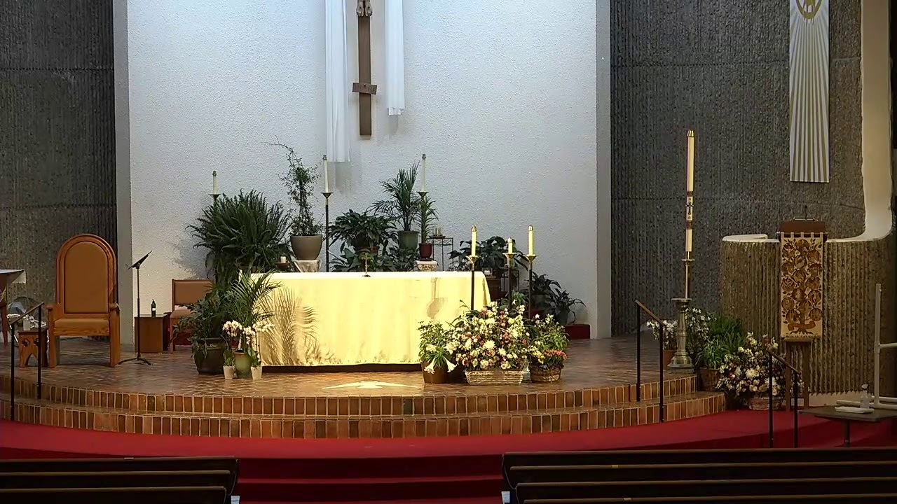 Memorial Mass: Mary Catherine McCabe