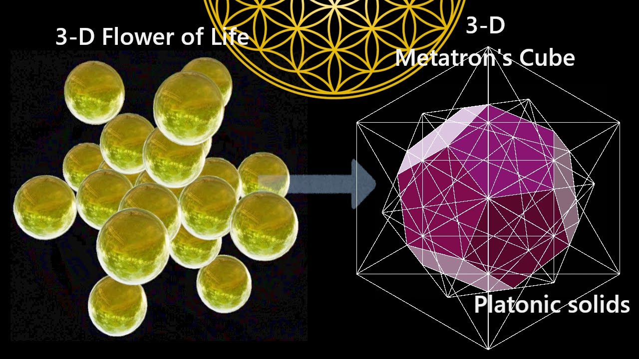 ３次元フラワーオブライフから３次元フルーツオブライフ、プラトン立体、３次元メタトロンキューブを作ってみる（フラワーオブライフの立体を考える ～step4）