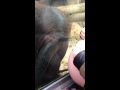 Pregnant mom shows off her baby bump. Orangutan falls in love and gets emotional