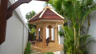 Build Most Beautiful Craft Wooden Bird House and Bird Cage DIY