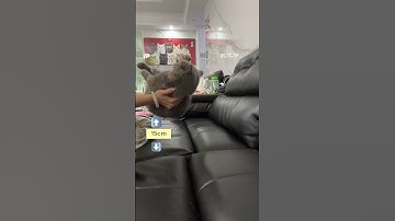 听说猫咪的反应速度是人的4倍，结果…… #cat