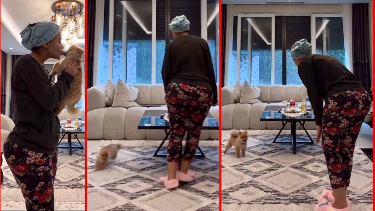 #بث  #لعب_مع_ #الكلب  #ملاك #تركيا #live #tiktok #trend