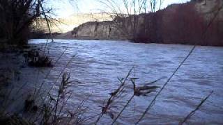 Rio De Cortes De Baza Uno
