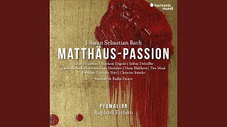 Matthäus-Passion, BWV 244, Prima parte: Nr.1. Chorus I & II 