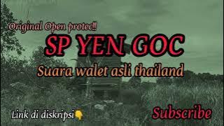 Suara Panggil Walet Yen Goc Thailand