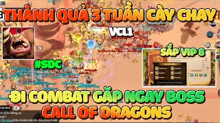 Thành Quả 3 Tuần Chơi Game Không Nạp! Chơi Sao Cho Mạnh- Big War S215 #SDC vs VCL1 - Call of Dragons