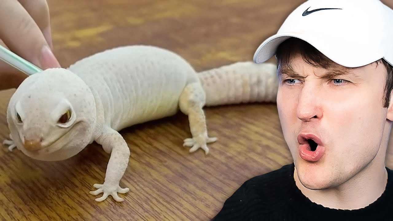 Cool Things I Learned on TikTok - YouTube