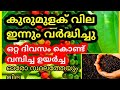 സ്വർണ്ണ തിളക്കത്തിൽ കുരുമുളക് ഇന്നും ഉയർന്നു കുരുമുളക് വില | Pepper Price | Malayalam | Kerala