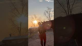 Ive Been So Incredibly Blessed With Him