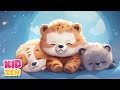 Relaxing music for kids dreams come true  12 hours of sleeping music for babies  cute animals