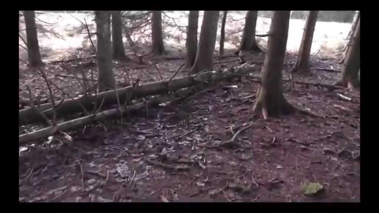 Vergessene Orte ( Lost Places ) 1 - Führerhauptquartier Tannenberg 1/2