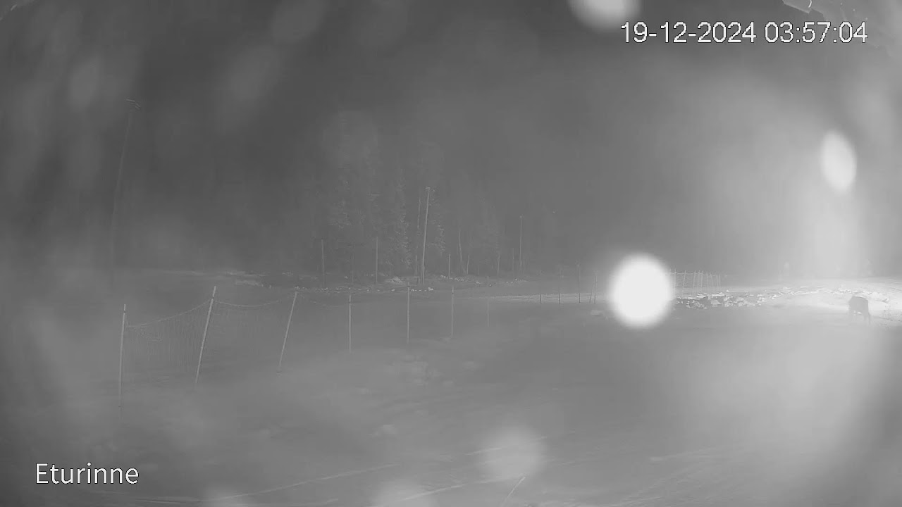 Web-kamera Iso-Syöte Eturinne 2. / Live-Stream from Ski Resort Iso-Syöte Front Slope 2.