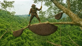 Verbazingwekkend jachtproces van wilde junglebijen. Ongelooflijke methode voor het winnen van hon...