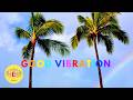 🌴 Motoharu Sano - GOOD VIBRATION 🌊