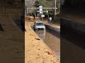 Kon hai Jungle ka Naya Shikari? #viral #beforeandafter #carmemesdaily #automobile #car