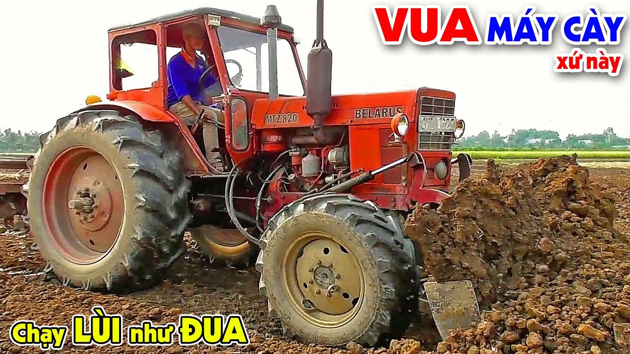 Mệnh danh là Vua máy cày xứ này MTZ 50 Belarus 820 đấu cầu đấu động cơ khủng long bạo chúa nhất vùng