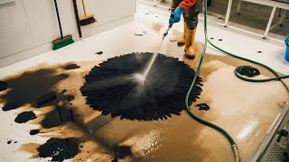 The INCREDIBLE Recovery of carpet flooded by black water! ! Satisfying Carpet Cleaning