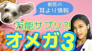 【人も犬も猫も‼︎ オメガ3脂肪酸】肥満・皮膚病・がん・アレルギー にも⁈ なんでも効くの？どうして効くの？獣医師が解説