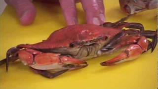 How to clean Blue Crab by Captain Vincent Russo (Part 1 of 2) How to clean Blue Crab by Captain Vincent Russo (Part 1 of 2)