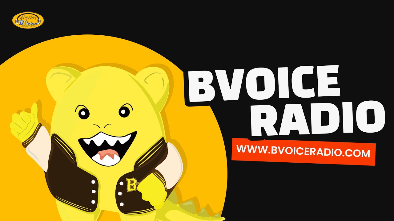 COMPANY PROFILE BVOICE RADIO 2024